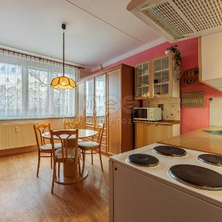 Prodej bytu 1+1 36 m² Aš, Tylova