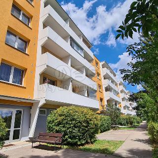 Pronájem bytu 2+1 58 m² Brno, Kamínky