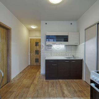 Pronájem bytu 1+1 30 m² Horšovský Týn, Jana Littrowa