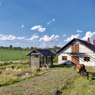 Prodej louky Studénka, Záhumení 847