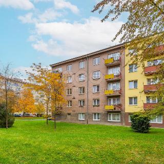 Prodej bytu 2+1 52 m² Louny, Emila Filly