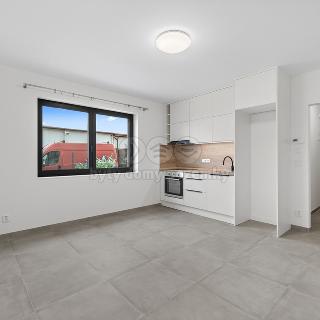 Pronájem bytu 1+kk a garsoniéry 28 m² Klíčany, V pěšinkách