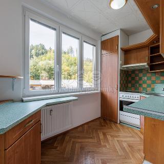 Prodej bytu 2+1 53 m² Březová