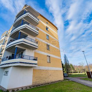 Prodej bytu 1+kk a garsoniéry 31 m² Žďár nad Sázavou, Kovářova