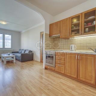 Pronájem bytu 2+kk 47 m² Plzeň, Bzenecká