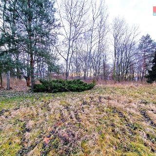 Prodej stavební parcely 2 996 m² Opava