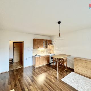 Pronájem bytu 2+kk 45 m² Liberec, Dobiášova