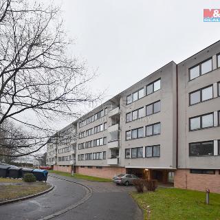 Pronájem bytu 1+1 40 m² Hradec Králové, Mrštíkova