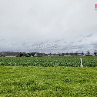 Prodej zemědělské půdy Poříčí nad Sázavou