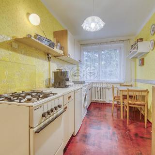 Prodej bytu 1+1 32 m² Horní Slavkov, Dlouhá