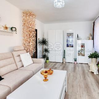 Prodej bytu 3+1 73 m² Hvožďany