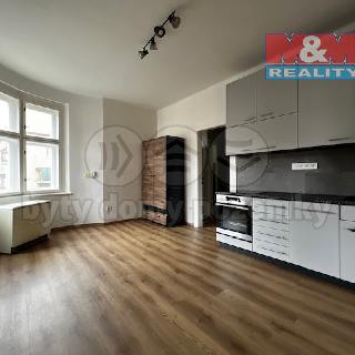 Pronájem bytu 2+1 49 m² Praha, Špitálská