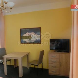 Pronájem bytu 1+kk, garsoniery 17 m² Mladá Boleslav