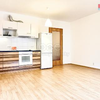 Pronájem bytu 1+kk a garsoniéry 38 m² Praha, Hanusova