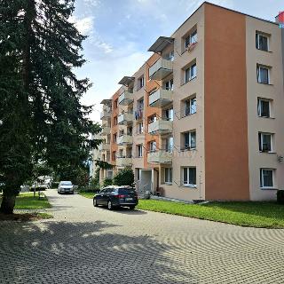 Prodej bytu 3+1 64 m² Písek, třída Přátelství