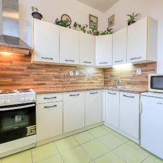 Prodej bytu 1+kk a garsoniéry 34 m² Strašice