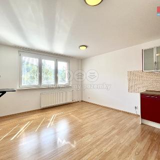 Pronájem bytu 2+kk 42 m² Železný Brod, Na Vápence