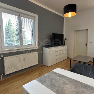 Prodej bytu 2+1 40 m² Borovany, Tovární