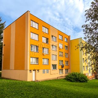 Prodej bytu 2+1 65 m² Borovany, Nová