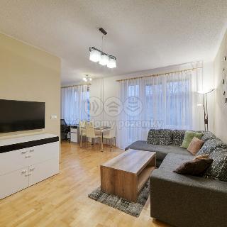 Prodej bytu 2+1 47 m² Mariánské Lázně, Libušina