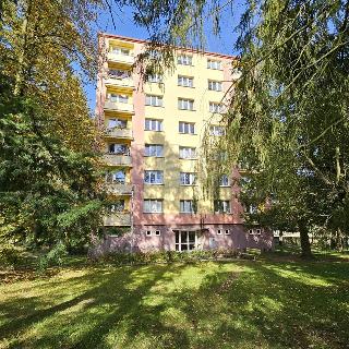 Prodej bytu 3+1 74 m² Písek, Dr. M. Horákové