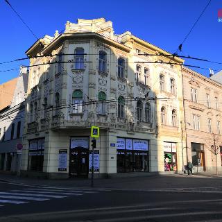 Pronájem bytu 3+1 166 m² Ostrava