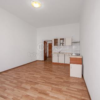 Pronájem bytu 1+kk a garsoniéry 43 m² Plzeň, Koterovská