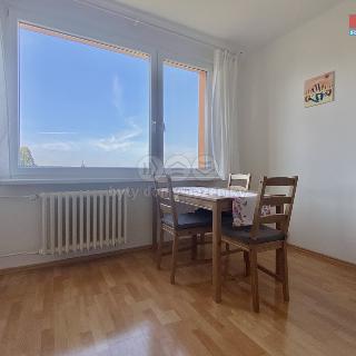 Pronájem bytu 1+1 45 m² Častolovice, Školská