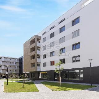 Pronájem bytu 3+kk 82 m² Pardubice, Smilova