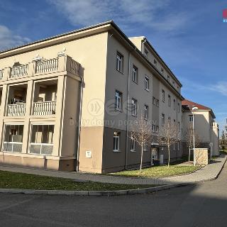 Prodej bytu 1+kk a garsoniéry 26 m² Milovice, Slepá