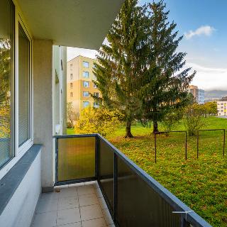 Prodej bytu 3+1 69 m² Liberec, Mánesova