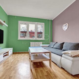 Prodej bytu 2+1 54 m² Ostrava, Průkopnická