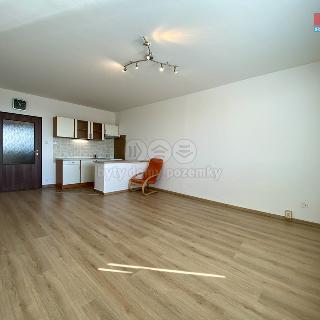 Prodej bytu 1+kk a garsoniéry 32 m² Havířov, Emy Destinnové