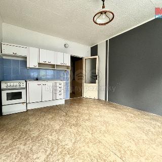 Prodej bytu 1+kk a garsoniéry 19 m² Bukovany