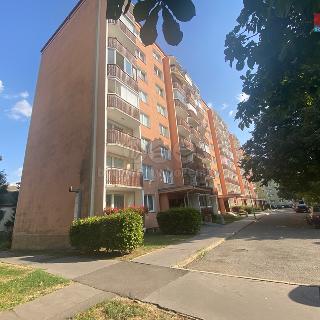 Pronájem bytu 1+1 45 m² Prostějov, Družstevní