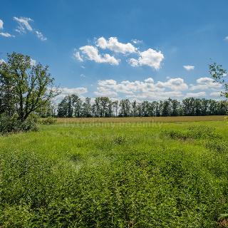 Prodej stavební parcely Loucká