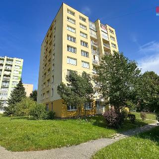 Prodej bytu 1+kk a garsoniéry 27 m² Jindřichův Hradec, sídliště Vajgar