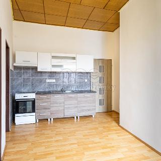 Pronájem činžovního domu 60 m² Kamenický Šenov