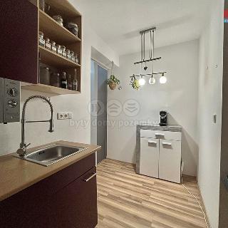 Pronájem bytu 1+kk a garsoniéry 35 m² Sokolov, Atletická