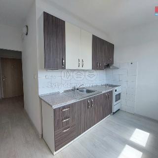 Pronájem bytu 1+1 36 m² Ostrov, Májová