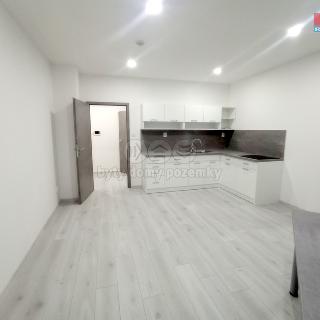 Pronájem bytu 1+1 46 m² Frýdek-Místek, Růžový pahorek