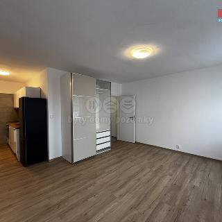 Pronájem bytu 1+kk a garsoniéry 32 m² Ústí nad Labem, Vinařská