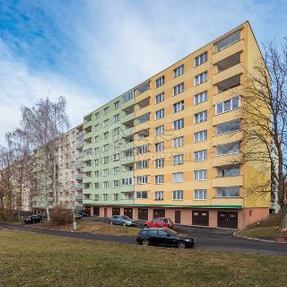 Pronájem bytu 1+kk a garsoniéry 21 m² Sokolov, Švabinského