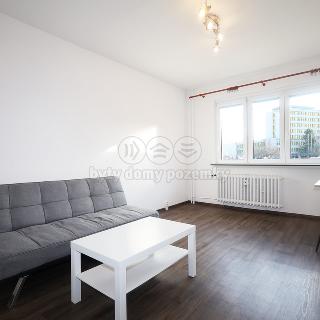 Pronájem bytu 1+1 33 m² Sokolov