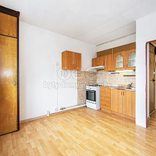 Prodej bytu 2+1 45 m² Planá, Fučíkova