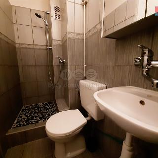 Prodej bytu 1+kk a garsoniéry 21 m² Moravský Beroun, Partyzánská