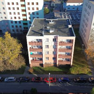 Prodej bytu 2+1 55 m² Ostrava, Vdovská