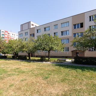 Prodej bytu 3+1 68 m² Ostrava, Bedřicha Václavka