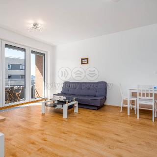 Pronájem bytu 2+kk 55 m² Praha, Měchnovská