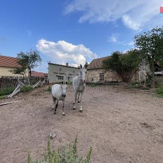 Prodej stavební parcely Domoušice